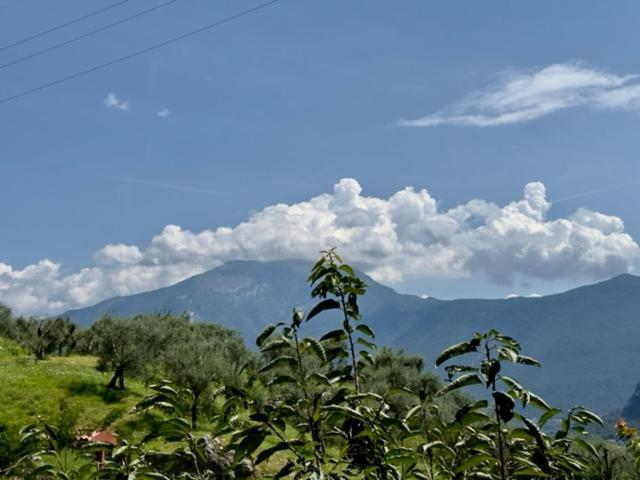 Appartement Alloggio Turistico Molu à Gavazzo Nuova Extérieur photo